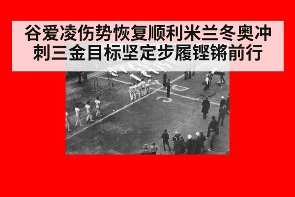 谷爱凌伤势恢复顺利米兰冬奥冲刺三金目标坚定步履铿锵前行